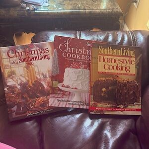 Christmas southern living book bundle